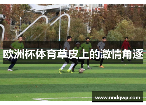 欧洲杯体育草皮上的激情角逐